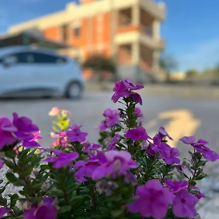 Danisacroatia * Maslenica