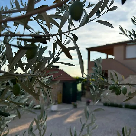 Apartment Danisacroatia *