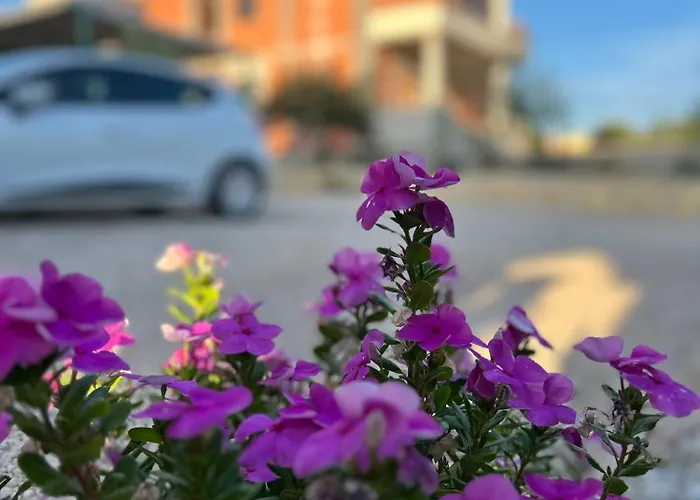 Danisacroatia * מסלניקה