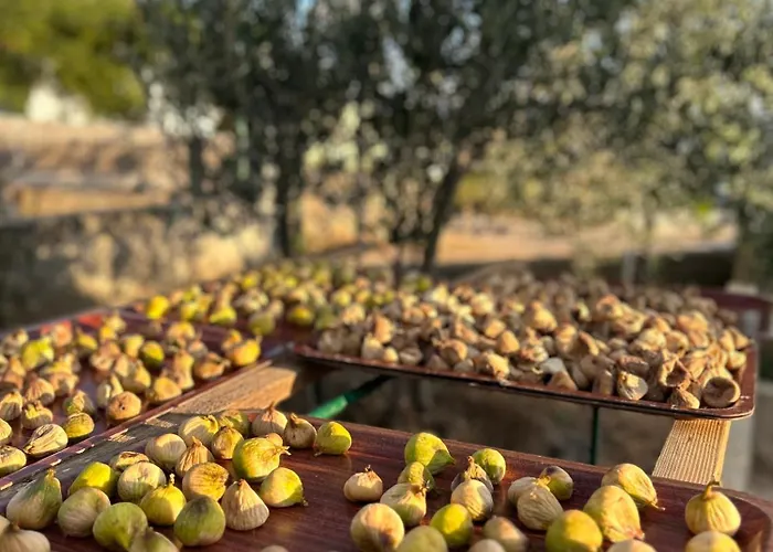 דירה Danisacroatia